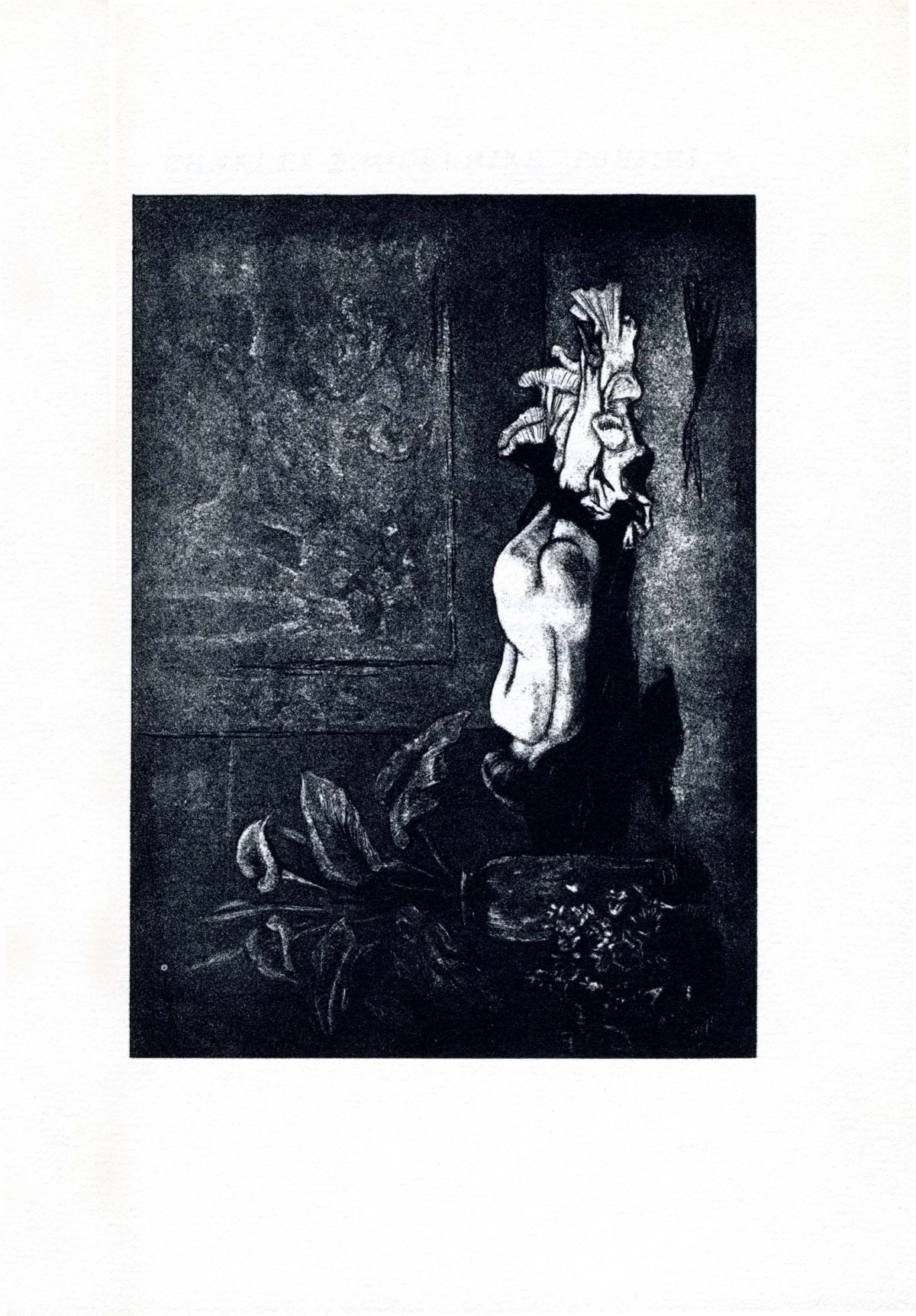 rops