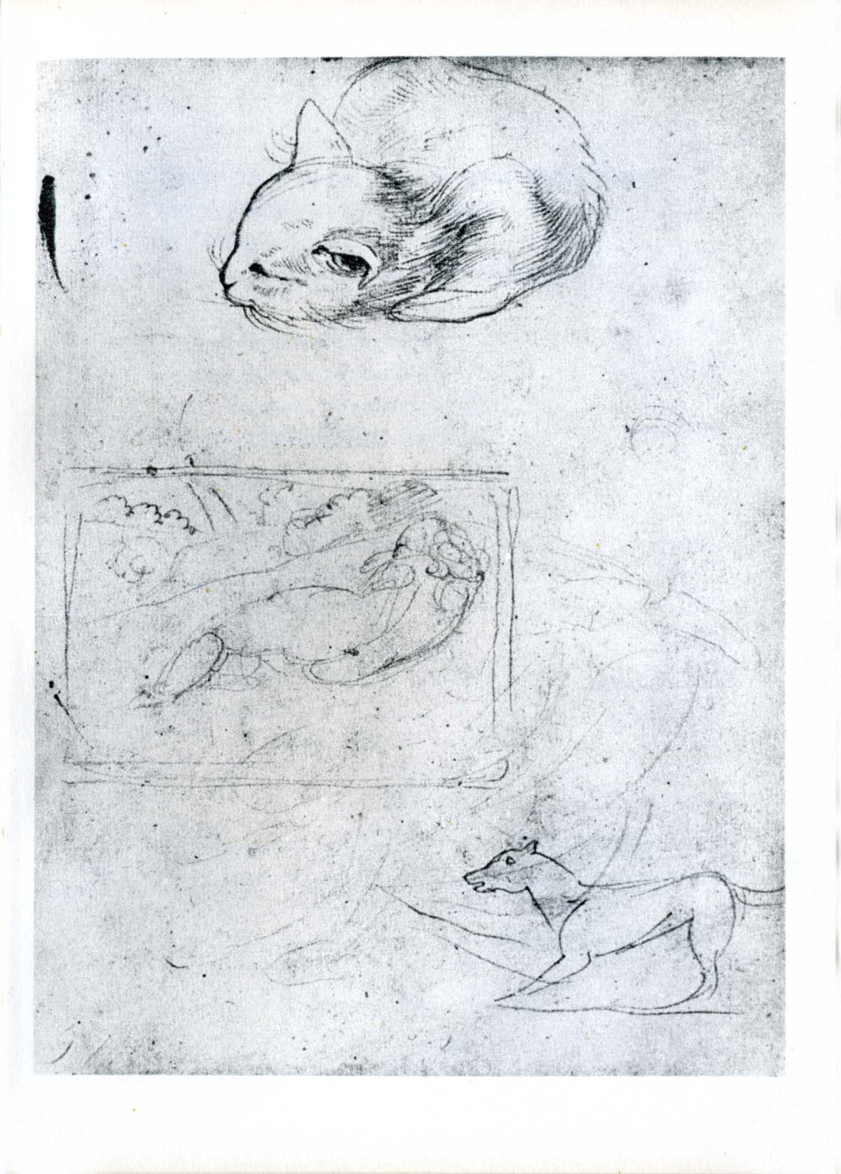 delacroix
