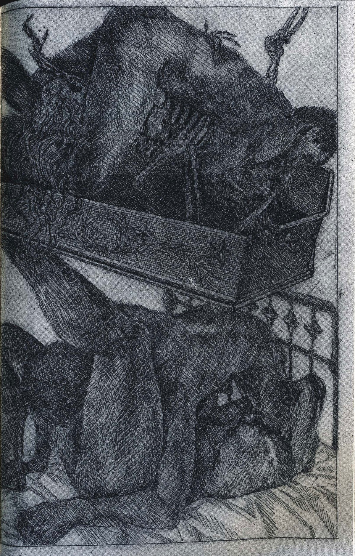 schorr
